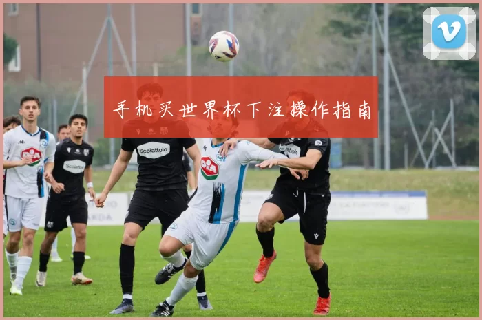 手机买世界杯下注操作指南