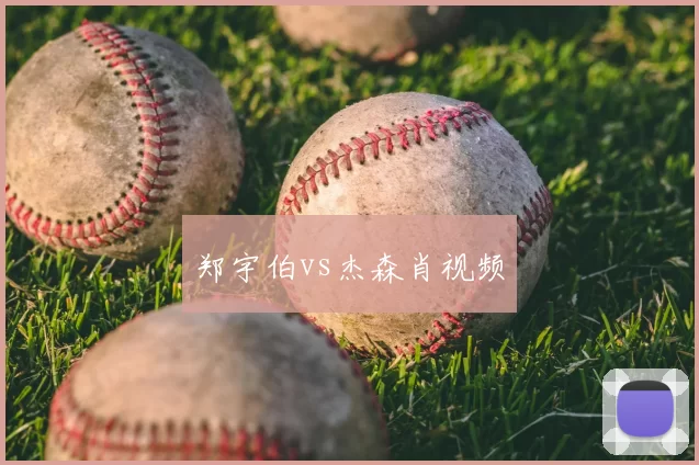 郑宇伯vs杰森肖视频