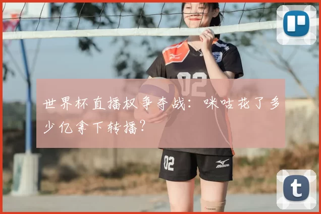 世界杯直播权争夺战:咪咕花了多少亿拿下转播?