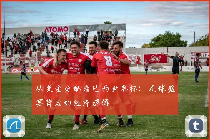 从奖金分配看巴西世界杯:足球盛宴背后的经济逻辑
