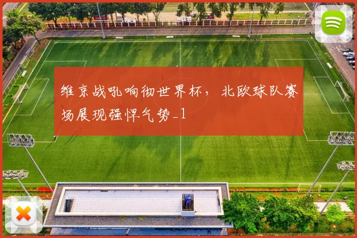 维京战吼响彻世界杯，北欧球队赛场展现强悍气势_1