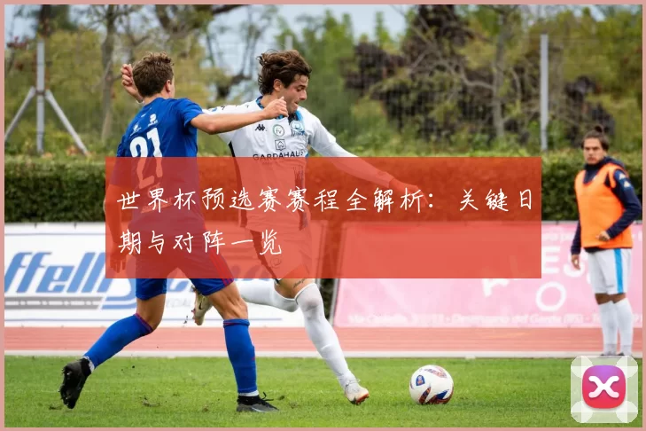 世界杯预选赛赛程全解析:关键日期与对阵一览