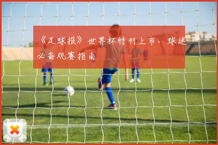 《足球报》世界杯特刊上市，球迷必备观赛指南