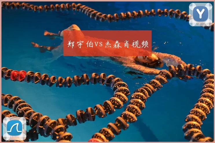 郑宇伯vs杰森肖视频