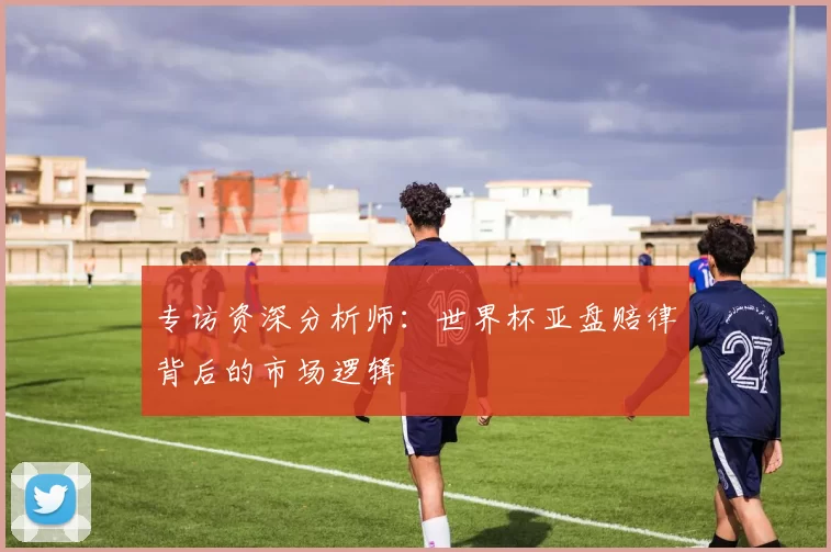 专访资深分析师：世界杯亚盘赔律背后的市场逻辑