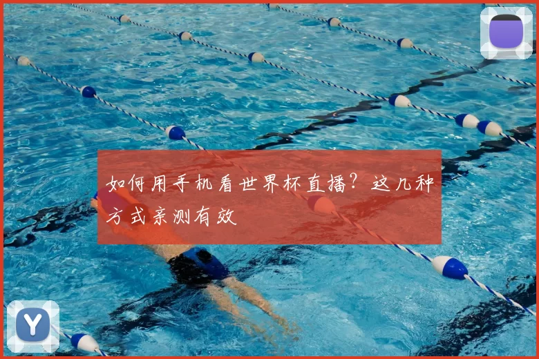 如何用手机看世界杯直播？这几种方式亲测有效